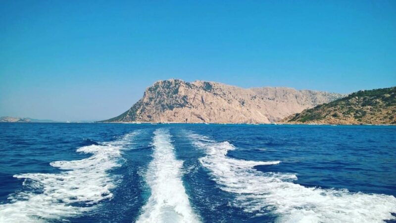 from-porto-san-paolo-4-hour-boat-tour-to-tavolara