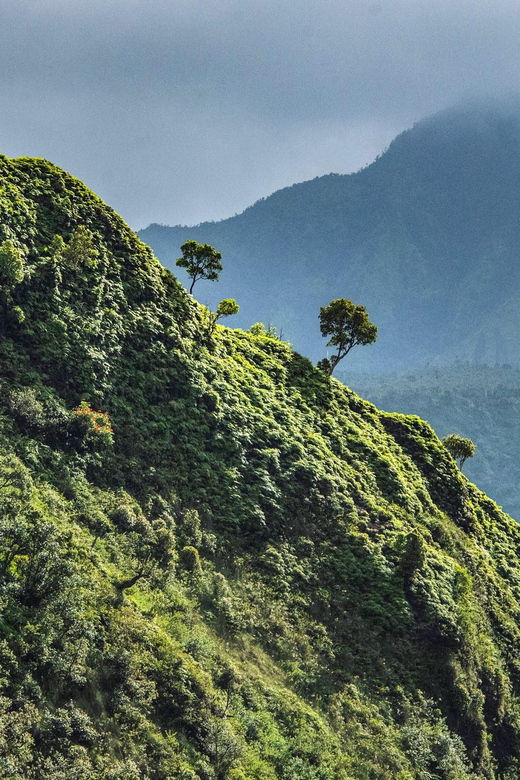 from-princeville-discover-kauai-helicopter-tour