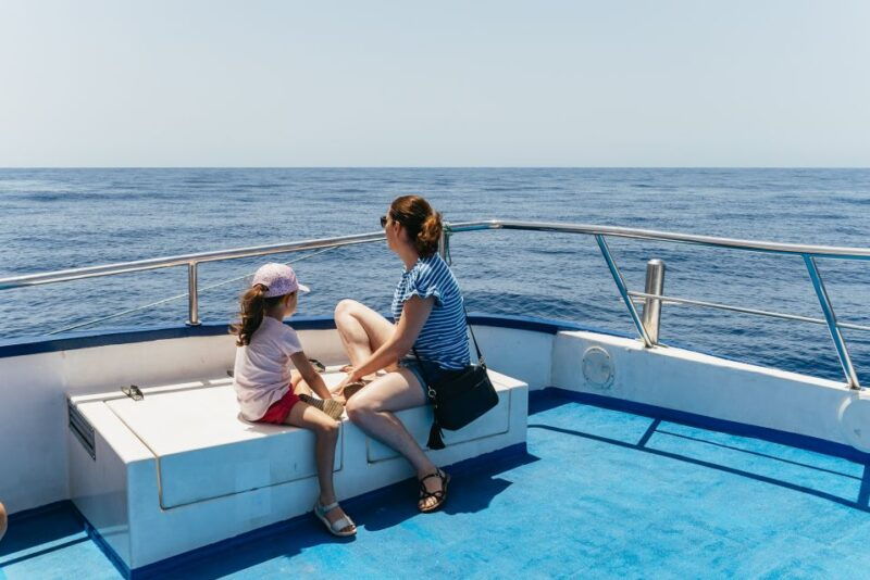 from-puerto-rico-de-gran-canaria-dolphin-watching-cruise