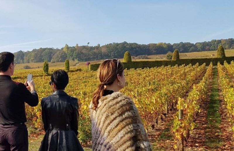 from-reims-champagne-day-trip-to-two-local-domains-lunch