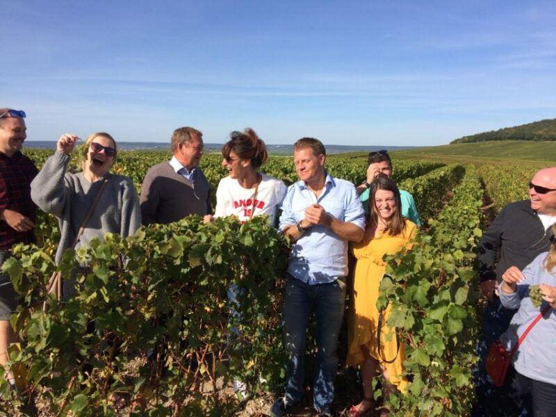 from-reims-epernay-champagne-half-day-tour-small-group