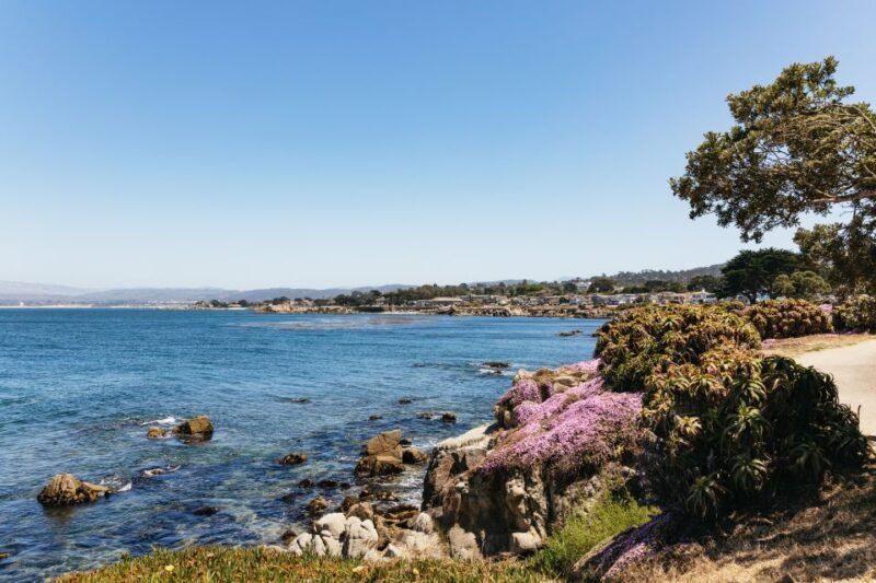 from-san-francisco-monterey-and-carmel-day-tour