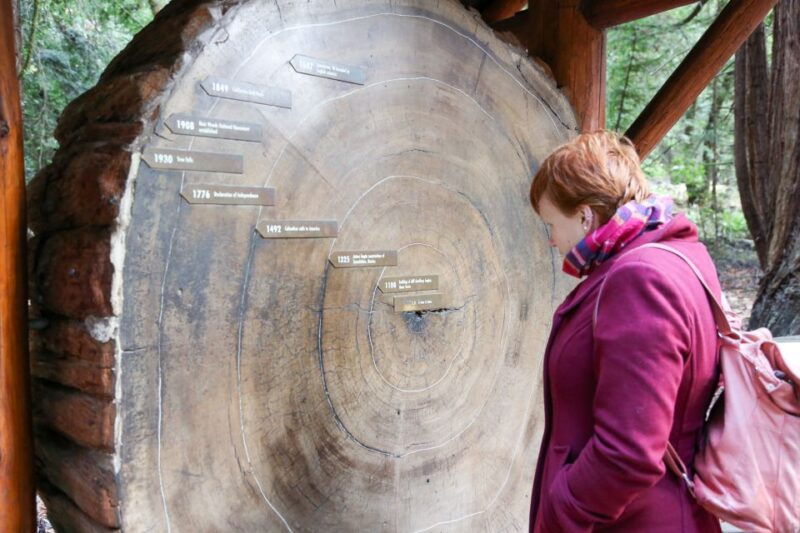 from-san-francisco-muir-woods-and-sausalito-half-day-trip