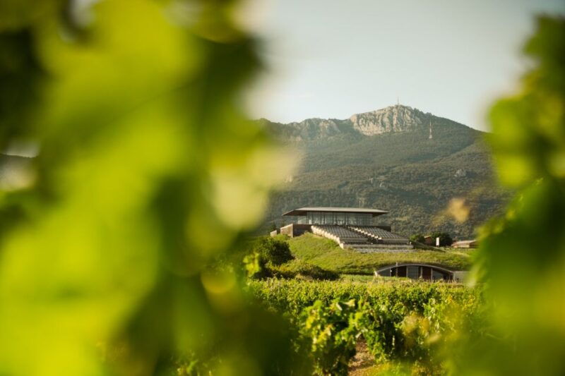 from-san-sebastian-rioja-uncorked-private-wineries-trip