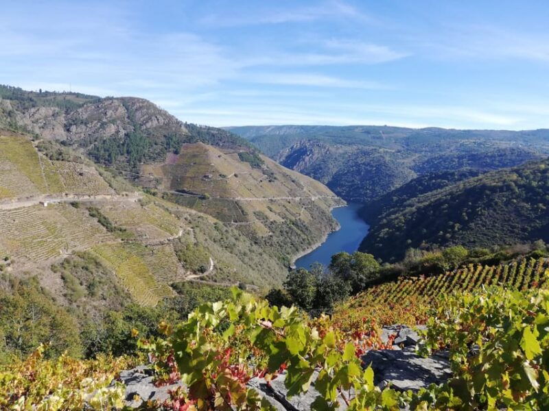 from-santiago-excursion-to-ribeira-sacra-and-ourense