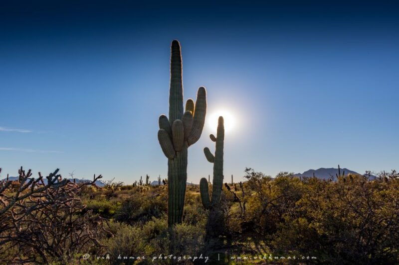 from-scottsdale-sonoran-desert-tonto-national-forest-trip