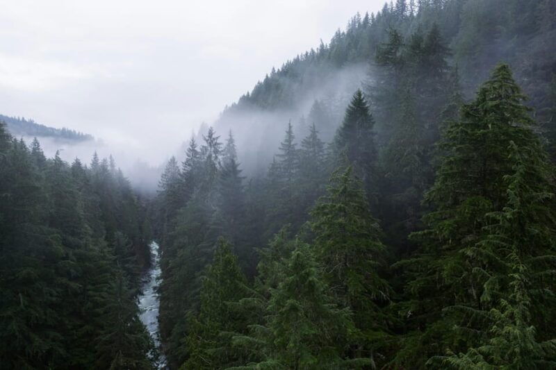 from-seattle-snoqualmie-twin-falls-and-ancient-forest-trip