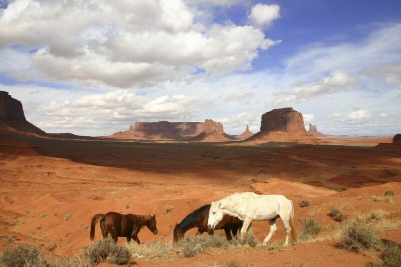 from-sedona-or-flagstaff-full-day-monument-valley-tour