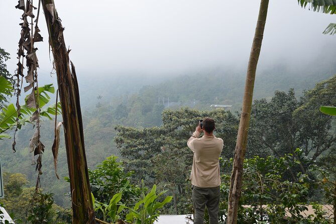 from-seed-to-cup-coffee-experience-at-la-palma-y-el-tucan