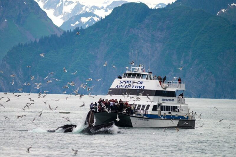 from-seward-kenai-fjords-national-park-cruise-with-lunch