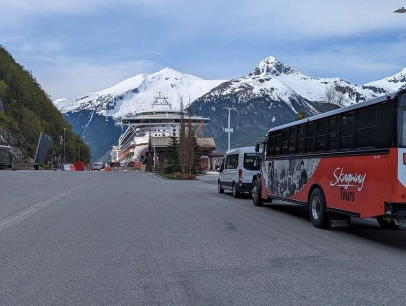 from-skagway-white-pass-and-yukon-suspension-bridge-tour