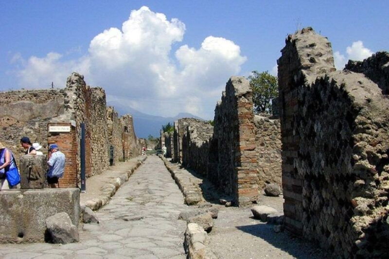 from-sorrento-pompeii-and-mount-vesuvius-tour