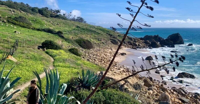 from-tarifa-guided-hiking-tour-in-the-strait-natural-park