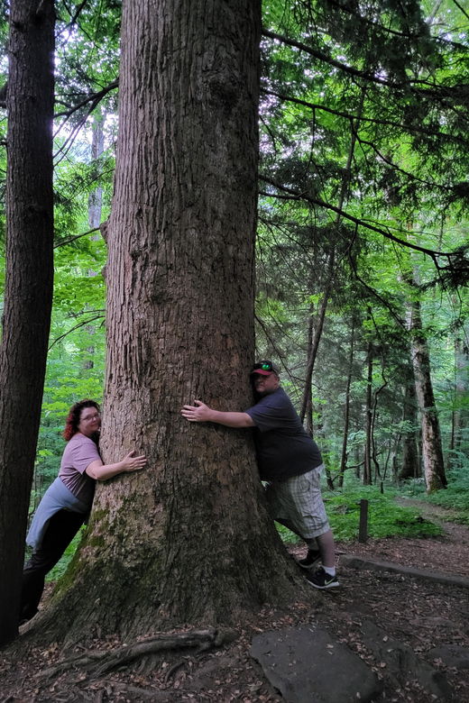 from-townsend-great-smoky-mountains-national-park-hiking