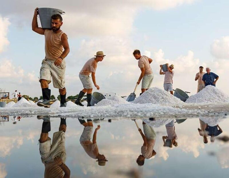 from-trapani-3-hour-guided-tour-of-the-salt-pans-with-sunset-aperitif