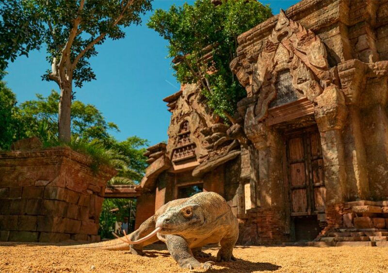 fuengirola-bioparc-entrance-ticket