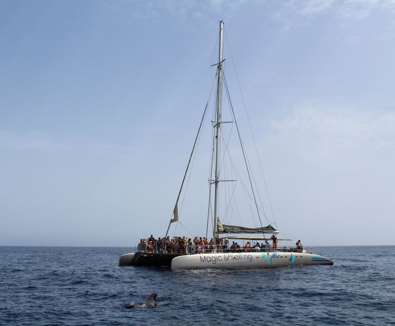 fuerteventura-magic-catamaran-trip-with-food-and-drinks
