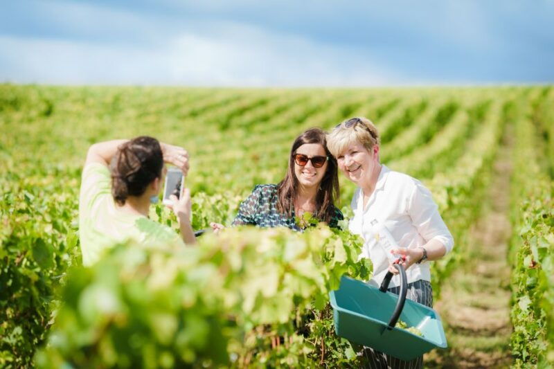 full-day-pommery-small-group-tour