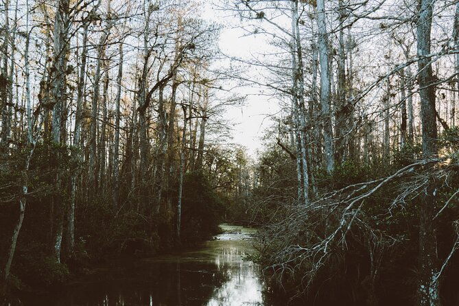 full-day-private-everglades-and-miami-city-tour