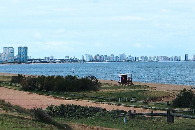 full-day-private-tour-to-punta-del-este