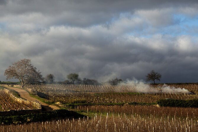 full-day-private-wine-tour-in-cote-de-beaune
