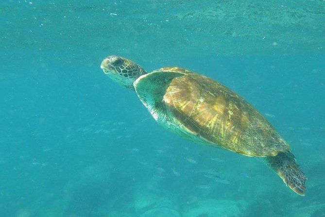 full-day-santa-fe-and-playa-escondida-with-snorkeling-and-lunch-included