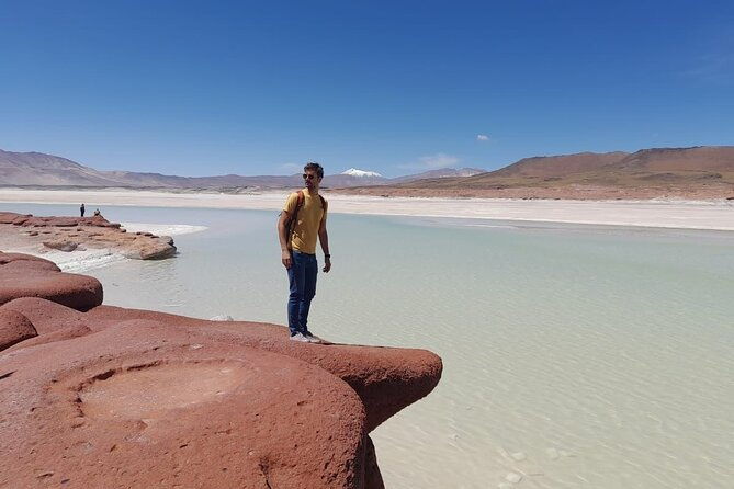 full-day-tour-altiplanicas-and-piedras-rojas-lagoon-with-food