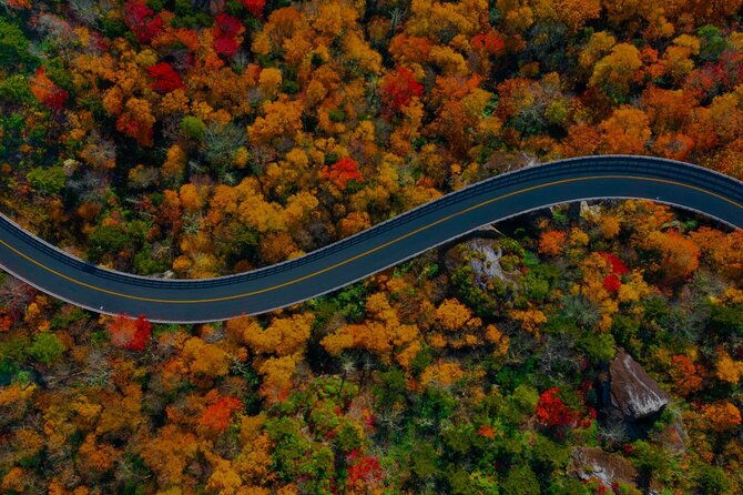 full-day-tour-from-atlanta-to-amicalola-falls-and-blue-ridge