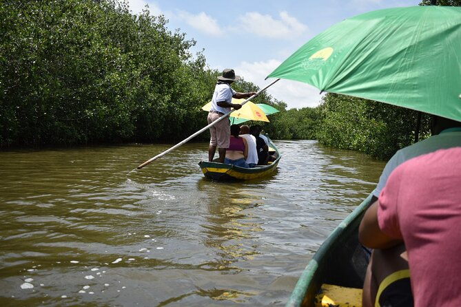 full-day-tour-of-the-mangrove-swamp-and-mud-volcano-in-cartagena