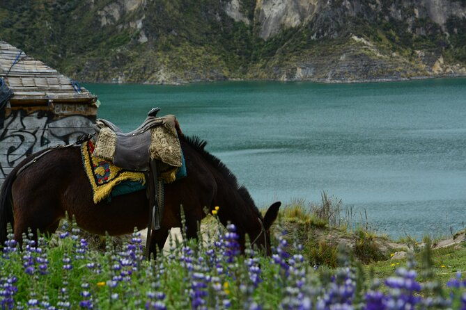full-day-tour-to-quilotoa-lagoon-from-banos-with-lunch