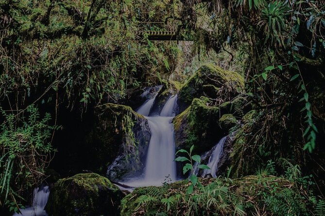 full-day-trip-to-papallacta-hot-springs-and-the-area