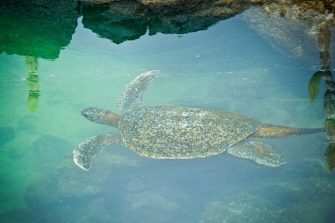galapagos-by-land-and-sea-4d-3n