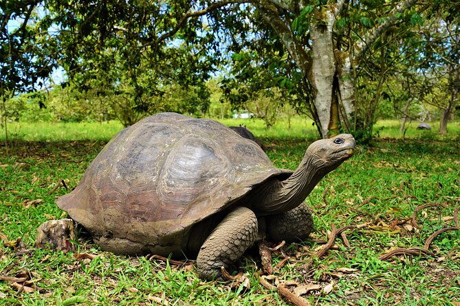 galapagos-multisport-expedition-8-days