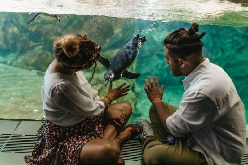 genoa-aquarium-of-genoa-entry-ticket