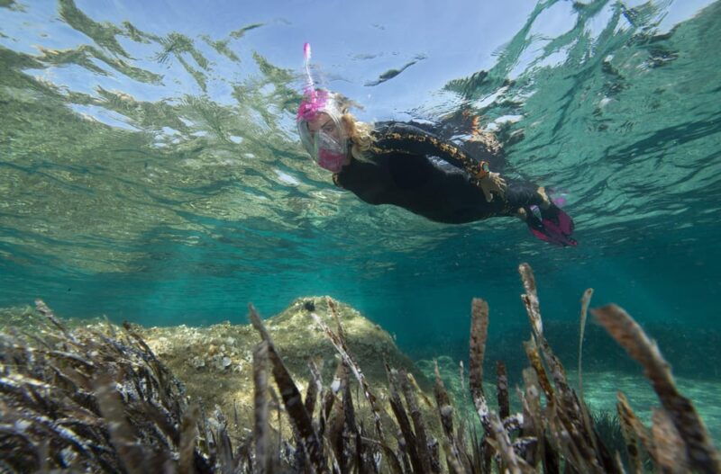 genoa-snorkeling-a-stones-throw-from-downtown