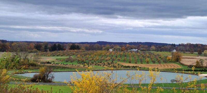 gettysburg-horse-drawn-carriage-tour-countryside-orchards
