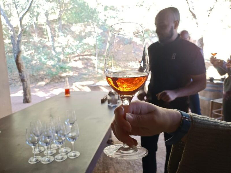 girona-local-wineries-tour-with-breakfast-and-wine-tasting