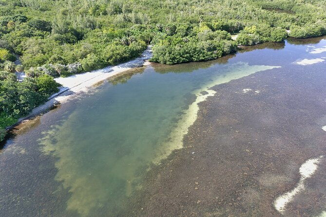 glass-bottom-kayak-mangrove-tunnel-sandbar-adventure-sarasota