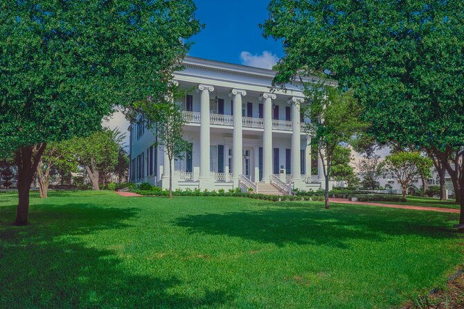 golden-austin-adventures-a-seniors-walking-delight-tour