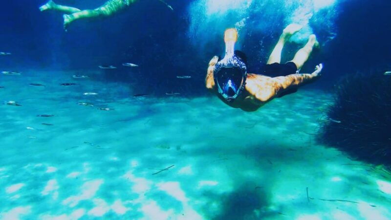 golfo-aranci-kayak-tour-with-dolphins-and-aperitif