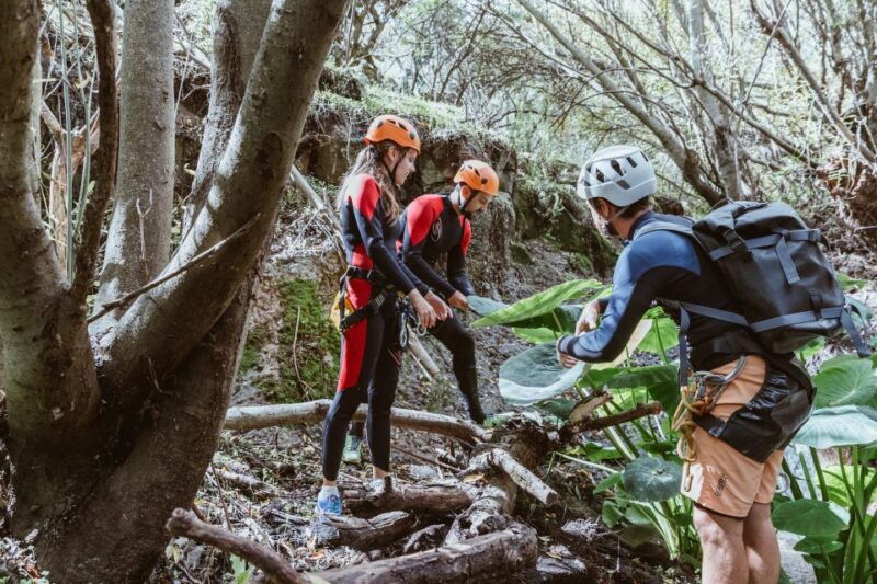 gran-canaria-canyoning-in-the-rainforest-2