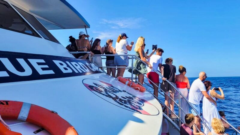 gran-canaria-catamaran-dolphin-watch-cruise-with-snorkeling