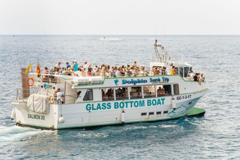 gran-canaria-dolphin-and-whale-watching-cruise