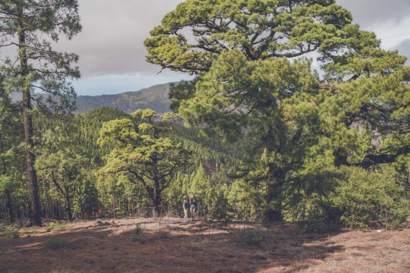 gran-canaria-full-day-customizable-private-photography-tour