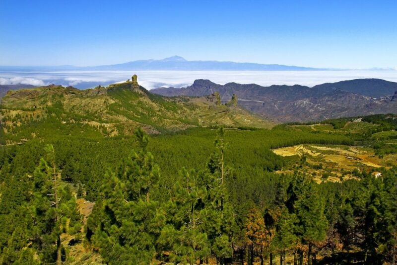 gran-canaria-full-day-vip-tour-by-bus