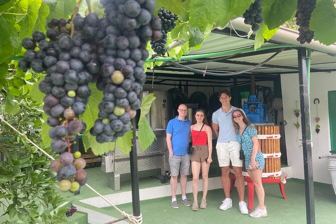 gran-canaria-pocket-wine-experience