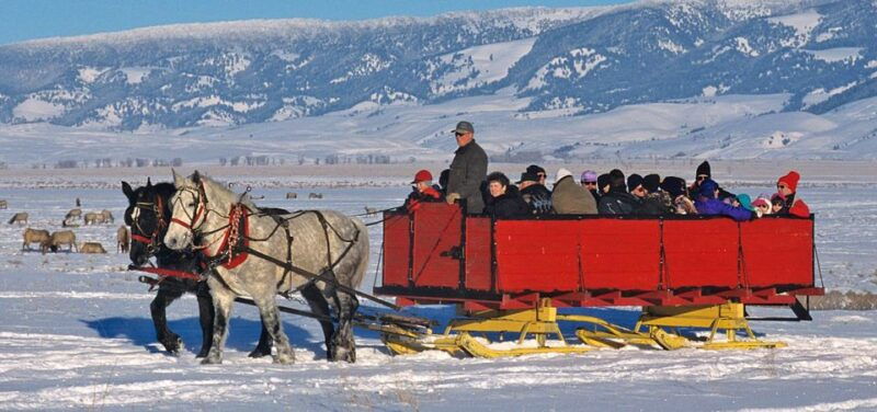 grand-teton-national-park-wildlife-tour-and-sleigh-ride