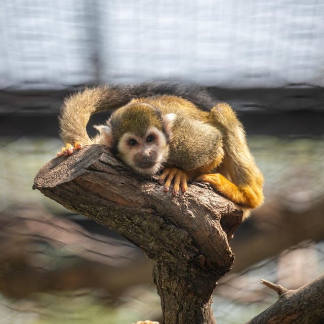 great-plains-zoo