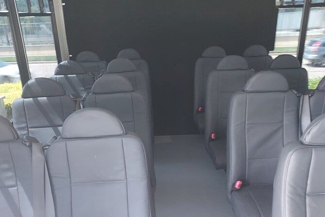 group-transportation-houston-to-galveston-cruise-hotels-16-pax