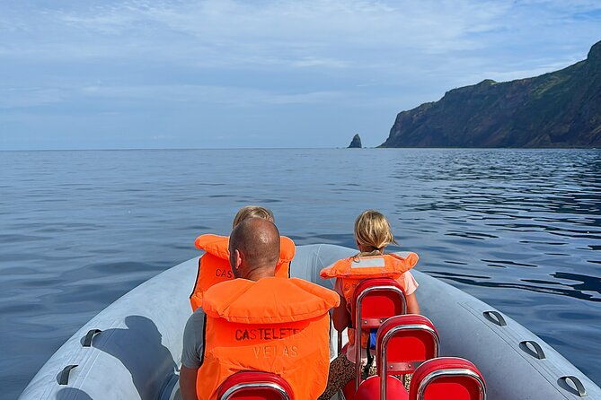 guided-activity-in-the-heart-of-azores-with-whales-and-dolphins